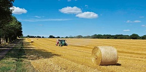 Applications invited for four Norfolk County Council farms available for tenancy